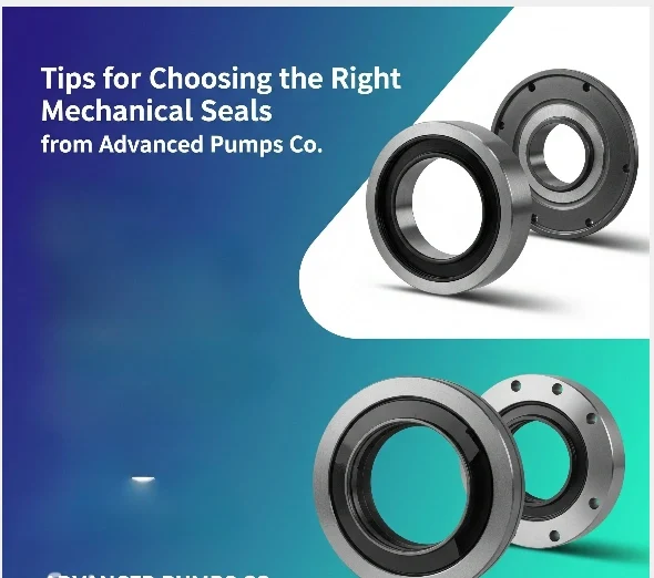 Why Choosing Dual Mechanical Seals Can Save Your Pump System 2 large