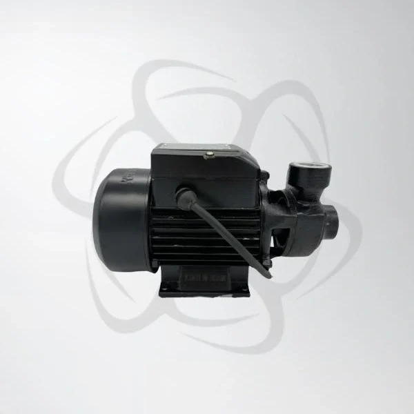 APESPA Home Fresh Water Pump 0.5 HP 2.5 A Italian Made